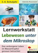 Lernwerkstatt Lebewesen unter dem Mikroskop