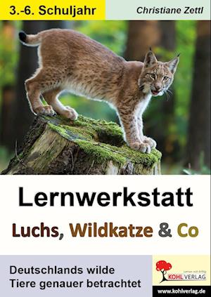 Lernwerkstatt Luchs, Wildkatze & Co