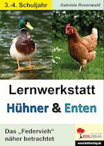 Lernwerkstatt Hühner & Enten / Grundschule