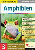 Amphibien - Merkmale, Lebensraum, Systematik