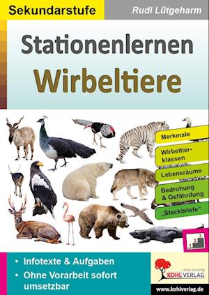 Stationenlernen Wirbeltiere