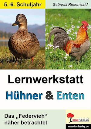 Lernwerkstatt Hühner & Enten / Sekundarstufe