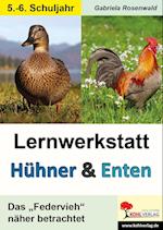 Lernwerkstatt Hühner & Enten / Sekundarstufe