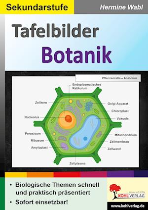 Tafelbilder Botanik