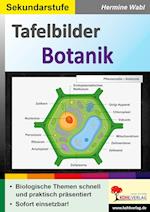 Tafelbilder Botanik