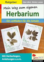 Mein Weg zum eigenen Herbarium