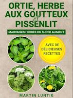 Ortie, Herbe aux goutteux et Pissenlit