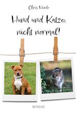 Hund und Katze, nicht normal!