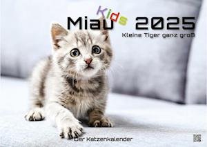 Miau Kids - kleine Tiger ganz groß - Der Katzenkalender - 2025 - Kalender DIN A3