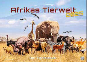 Afrikas Tierwelt - Der Tierkalender - 2025 - Kalender DIN A2