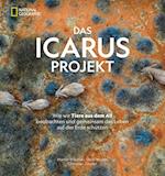 Das ICARUS Projekt