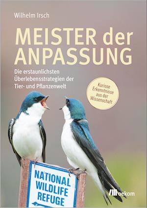 Meister der Anpassung