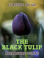 Black Tulip