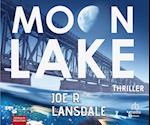 Moon Lake - Eine verlorene Stadt: Thriller