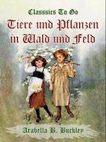 Tiere und Pflanzen in Wald und Feld