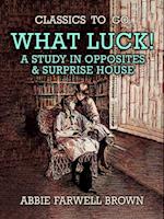 What Luck! A Study in Opposites & Surprise House