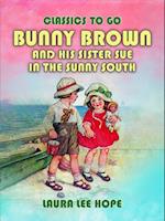 Bunny Brown And His Sister Sue In The Sunny South