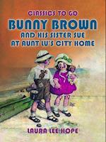 Bunny Brown And His Sister Sue At Aunt Lu's City Home