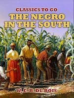 Negro In The South