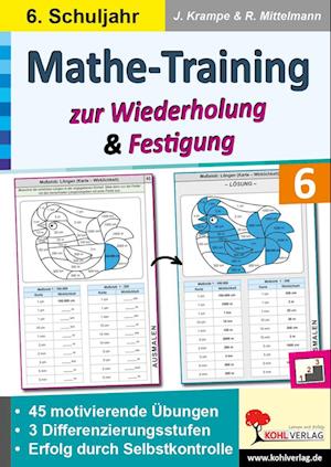 Mathe-Training zur Wiederholung und Festigung / Klasse 6