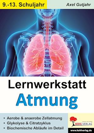 Lernwerkstatt Atmung / Band 2 (Klasse 9-13)