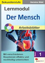 Lernmodul 1: Der Mensch / Tafelbilder