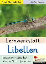 Lernwerkstatt Libellen