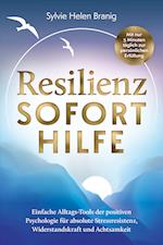 Resilienz Soforthilfe - Mit nur 5 Minuten täglich zur persönlichen&nbsp;Erfüllung