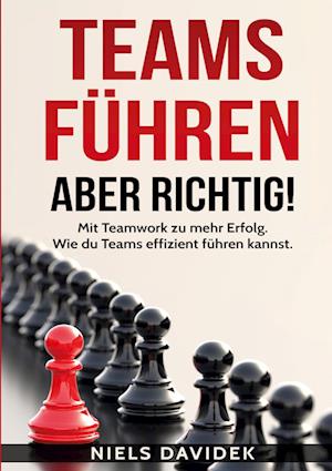 Teams führen - aber richtig!