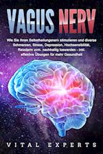 VAGUS NERV: Wie Sie Ihren Selbstheilungsnerv stimulieren und diverse Schmerzen, Stress, Depression, Hochsensibilität, Reizdarm uvm. nachhaltig loswerden - inkl. effektive Übungen für mehr Gesundheit