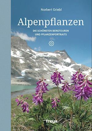 Alpenpflanzen