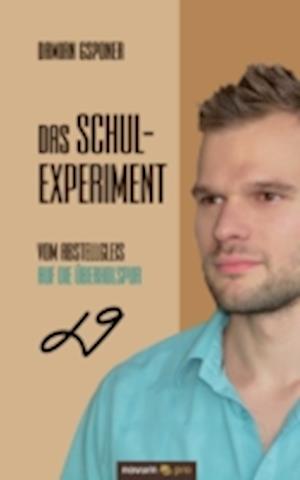 Das Schulexperiment