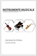 Instrumnete Muzicale