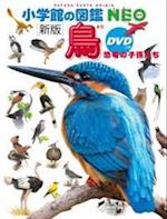Birds (New Edition) - Descendants of Dinosaurs (Shogakukan Encyclopedia Neo)