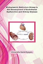 Endoplasmic Reticulum Stress in the Development of Endothelial Dysfunction and Kidney Disease 