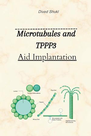 Microtubules And TPPP3 Aid Implantation