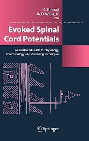 Evoked Spinal Cord Potentials