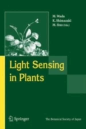 Light Sensing in Plants