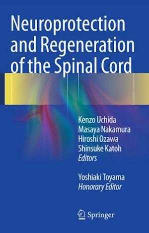 Neuroprotection and Regeneration of the Spinal Cord