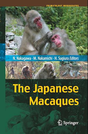 The Japanese Macaques