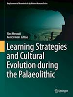 Learning Strategies and Cultural Evolution during the Palaeolithic