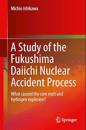 A Study of the Fukushima Daiichi Nuclear Accident Process