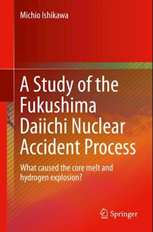 Study of the Fukushima Daiichi Nuclear Accident Process