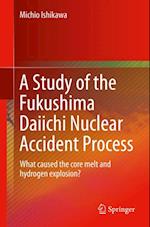 Study of the Fukushima Daiichi Nuclear Accident Process