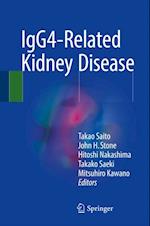 IgG4-Related Kidney Disease