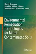 Environmental Remediation Technologies for Metal-Contaminated Soils