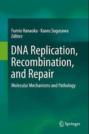 DNA Replication, Recombination, and Repair