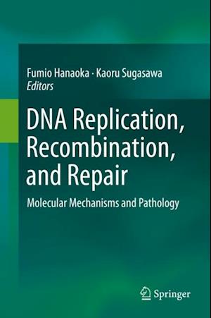 DNA Replication, Recombination, and Repair