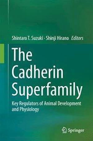 The Cadherin Superfamily