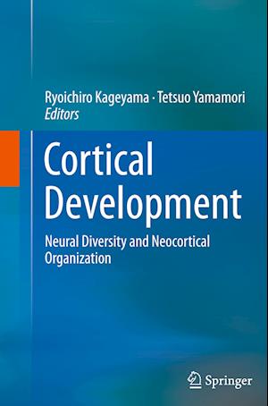 Cortical Development